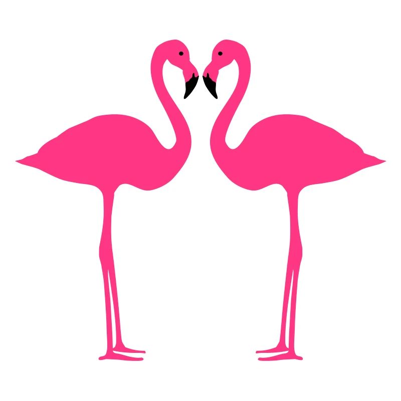 Flamingos 2farbig