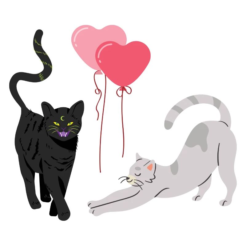 Katzen Ballons