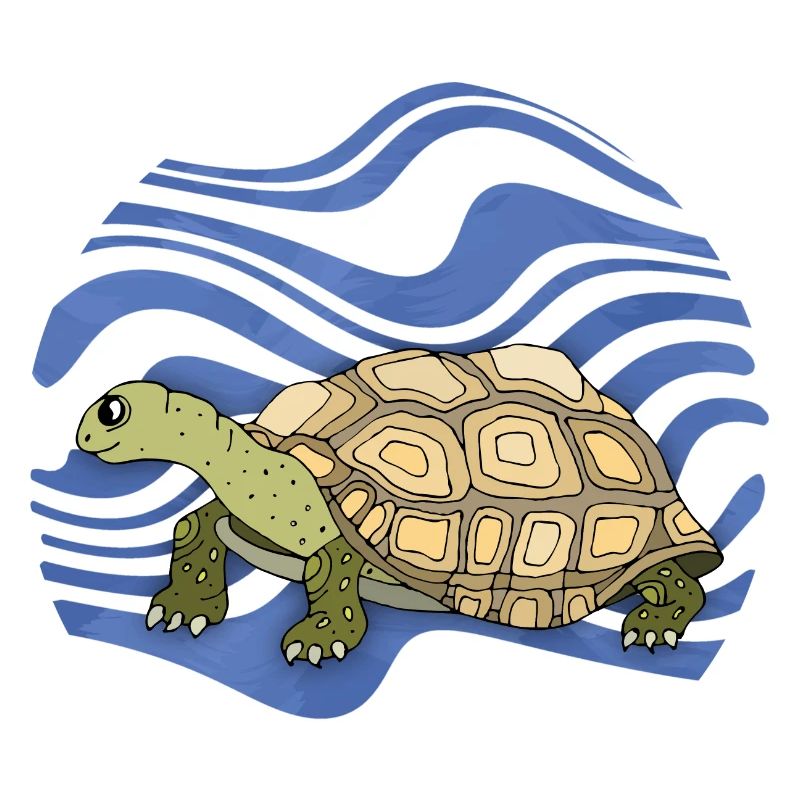Schildkröte