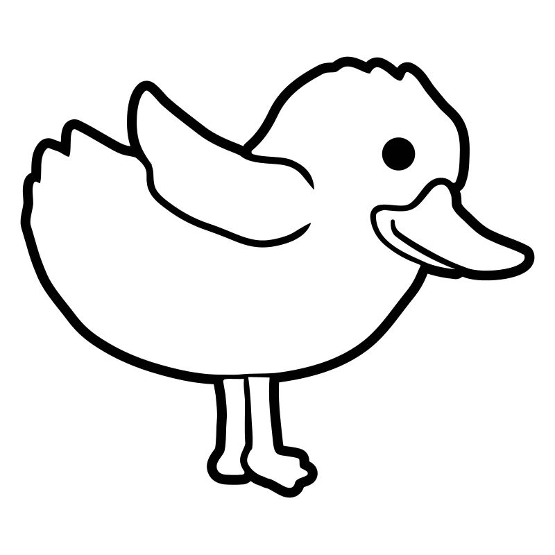 Dear duck cute chick