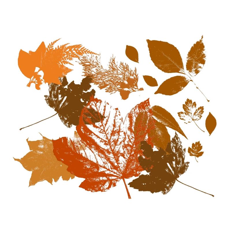 Herbstblatt
