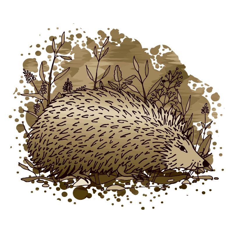 Igel