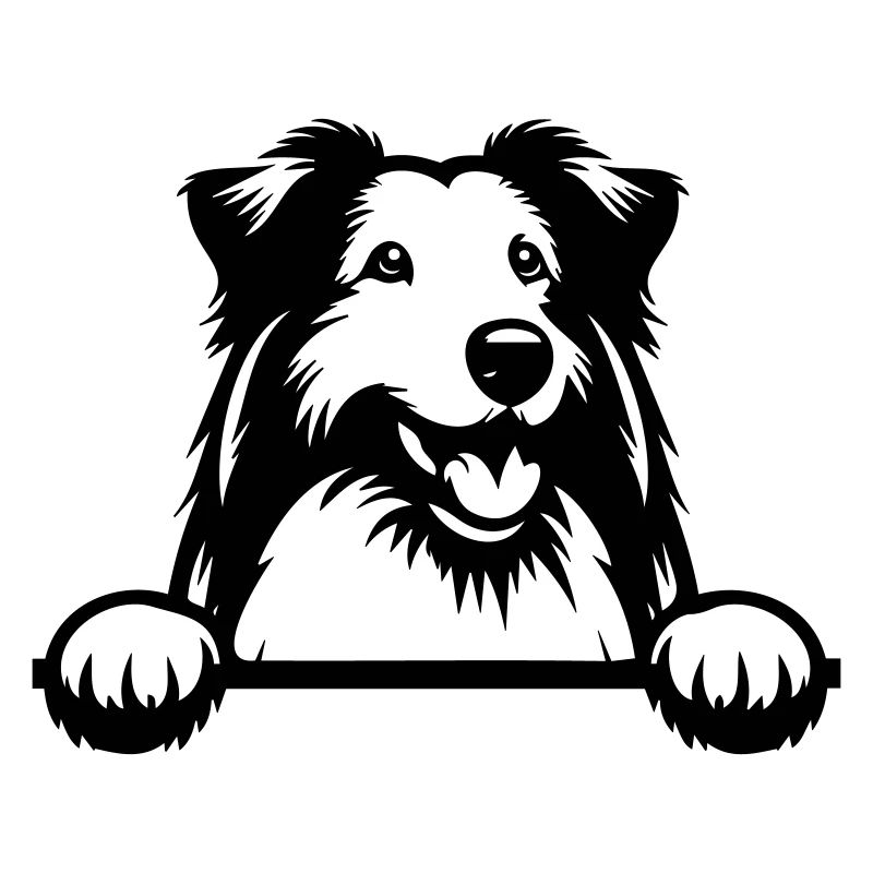 Bearded Collie