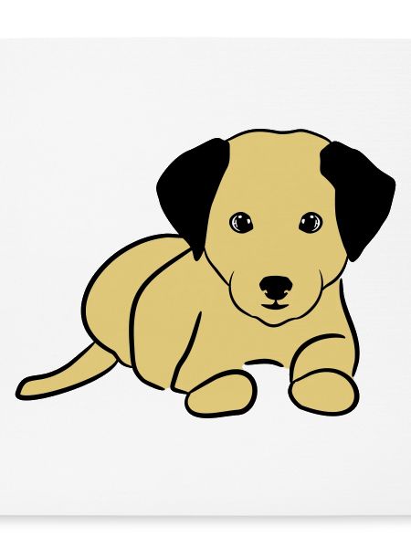 Süßer Hund, Hündchen