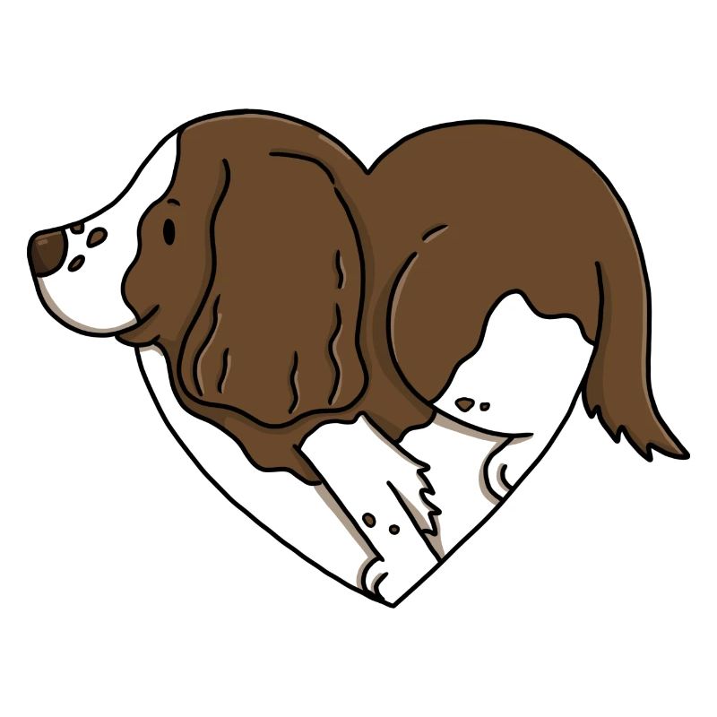 Liebe Springer Spaniels