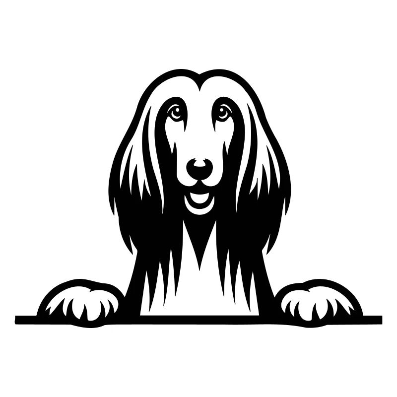 Afghan Hound