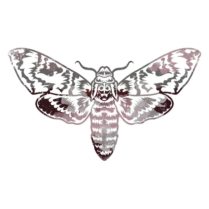 Moth,outline,grey,beige,moth