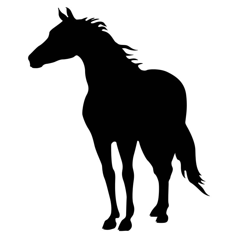 Horses