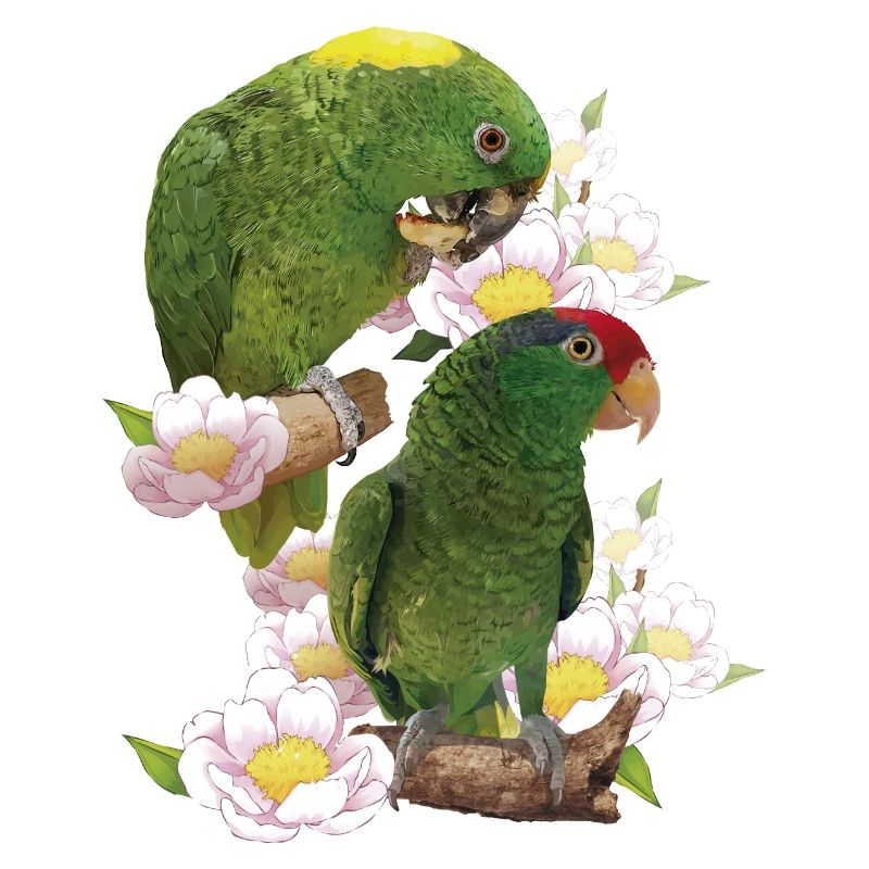 Parrots