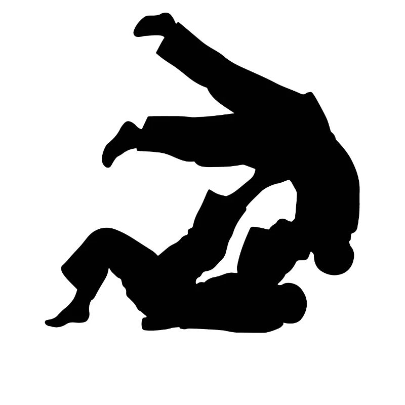 Brazilian Jiu-Jitsu BJJ