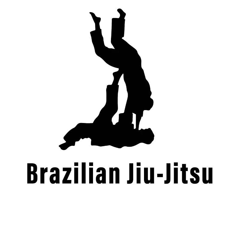 Brazilian Jiu-Jitsu BJJ
