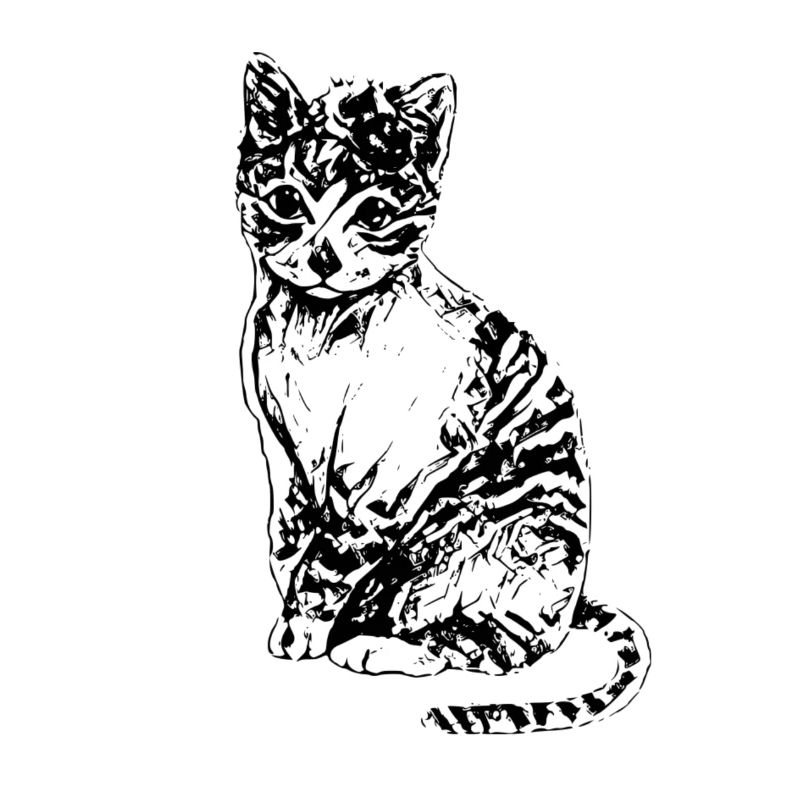 Katzen