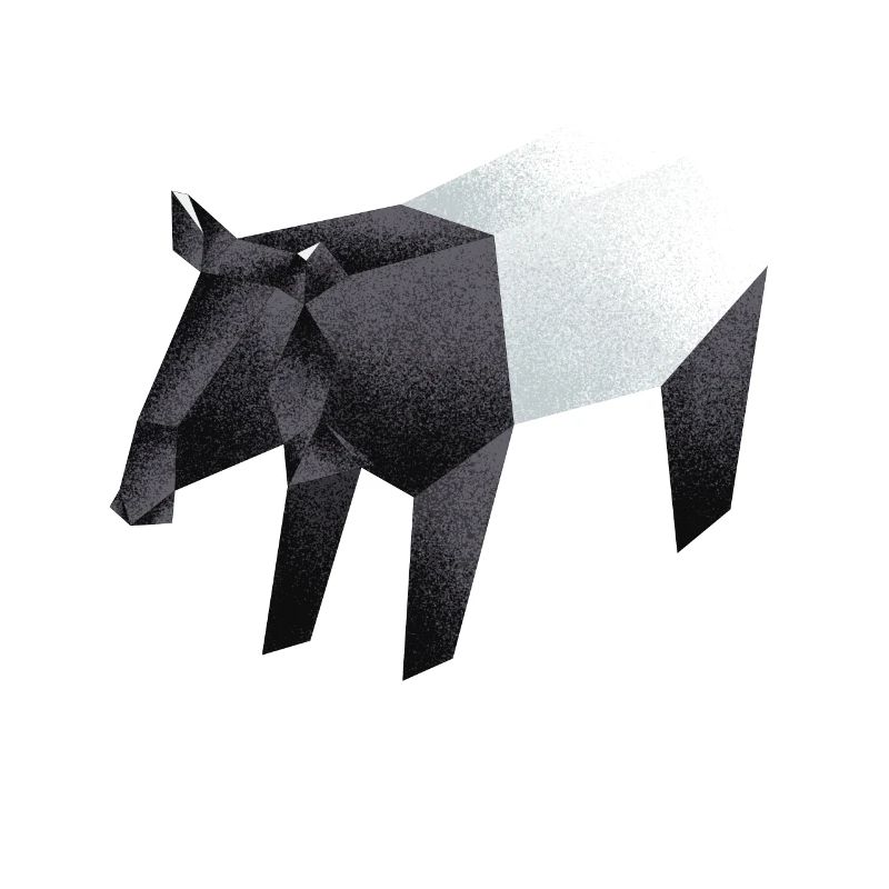 Tapir
