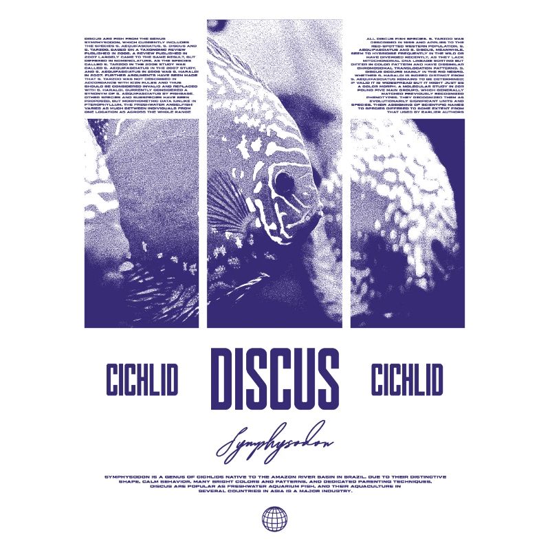 Discus Fish Cichlid Aquarium Fish Keeper