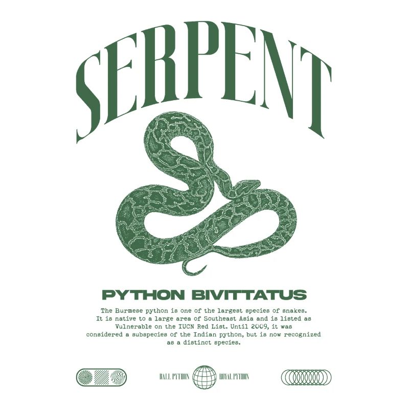 Burmese Python Modern Reptile Keeper Streetwear