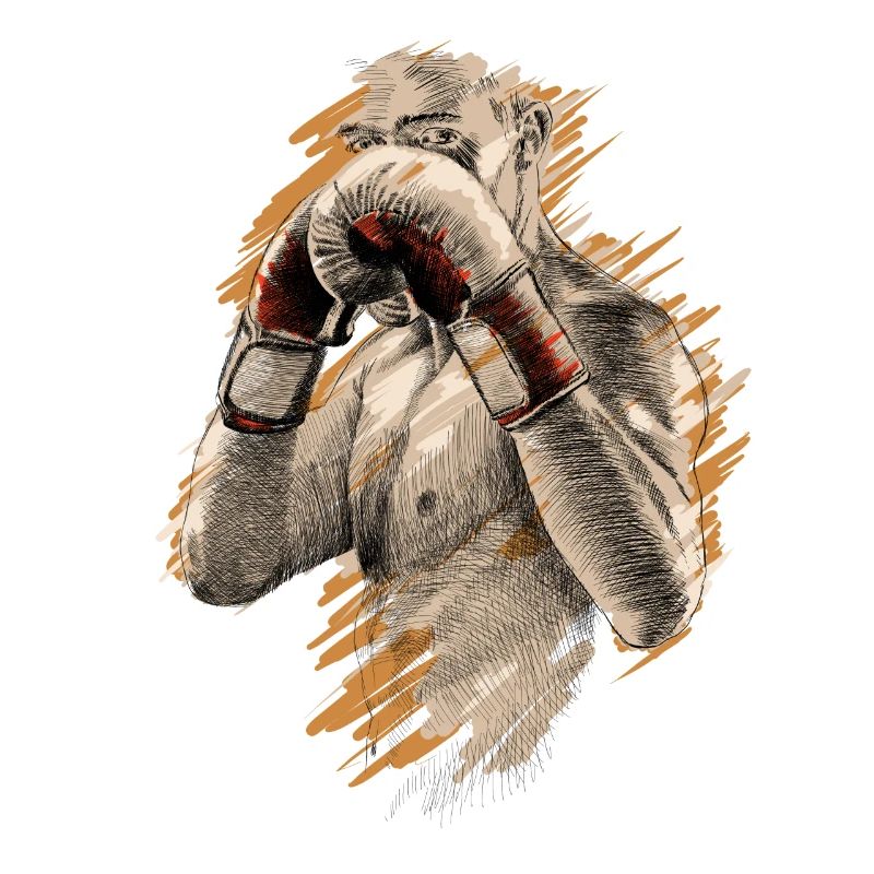 Boxer
