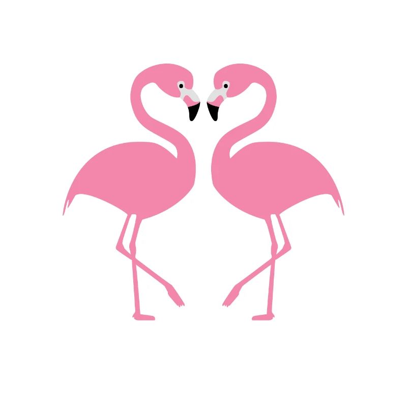 Flamingos