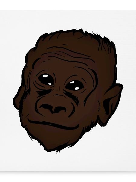 Gorilla Tiermotiv