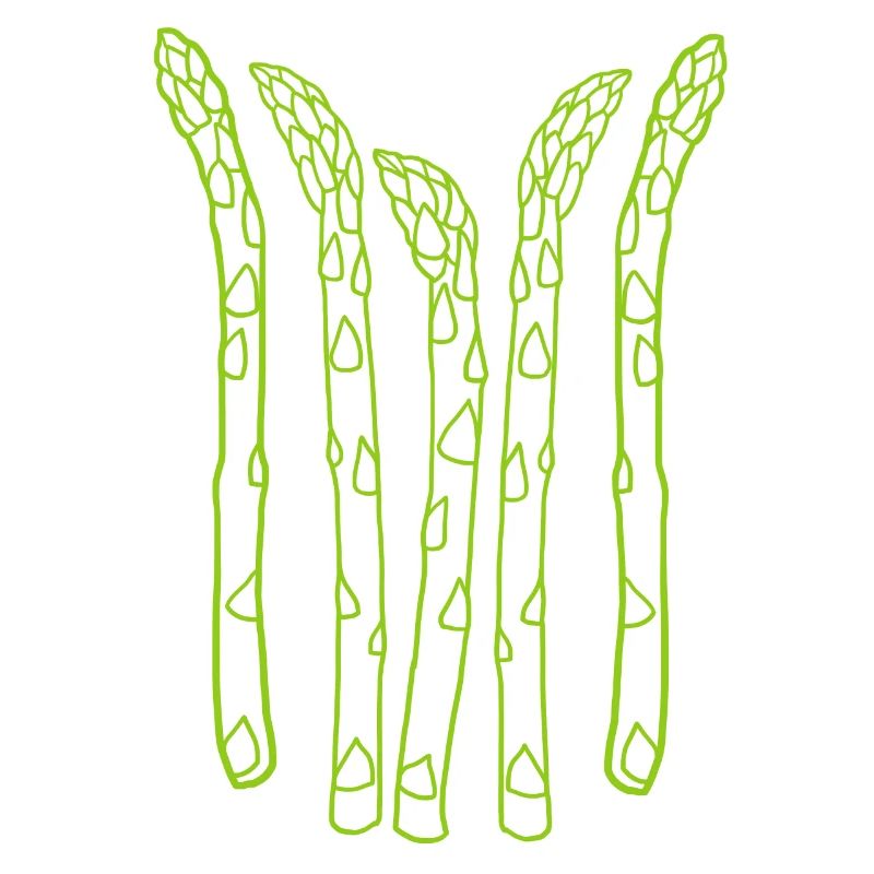 Spargel Asparagus
