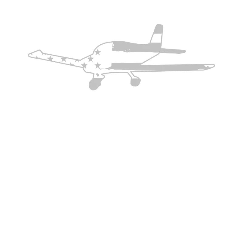 Flugzeug Pilot Luftfahrt