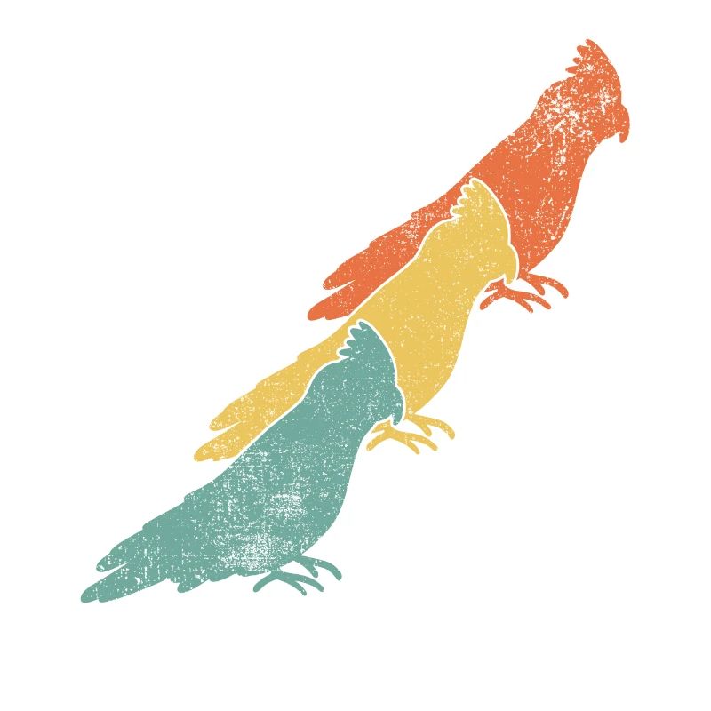 Nymphensittiche Vogel