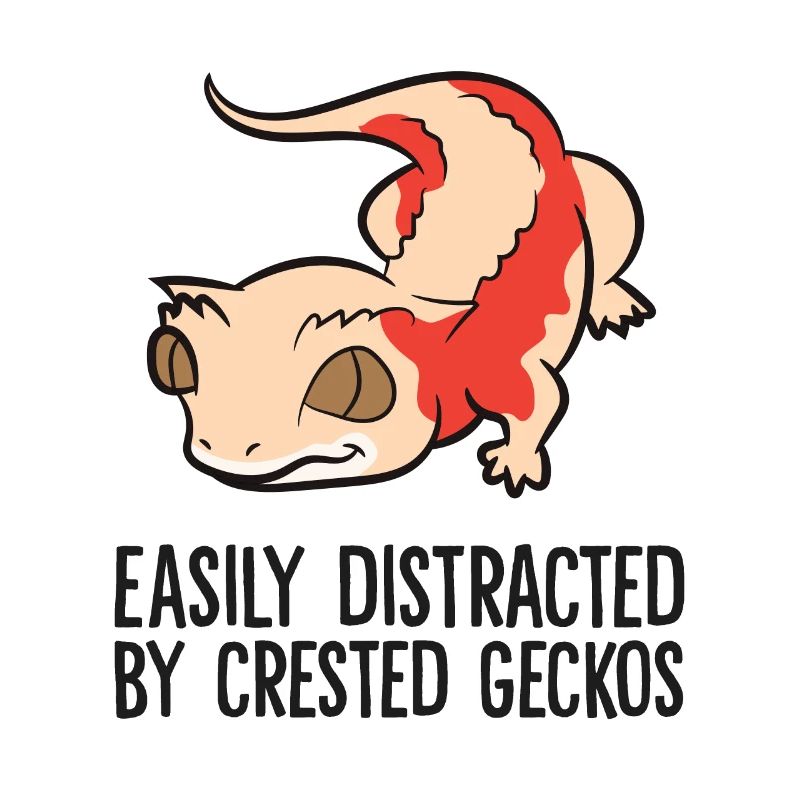 Easily Distracted By Crested Geckos