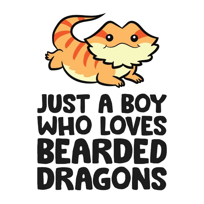 Bartagame Reptil Nur ein Junge, der Bartagamen