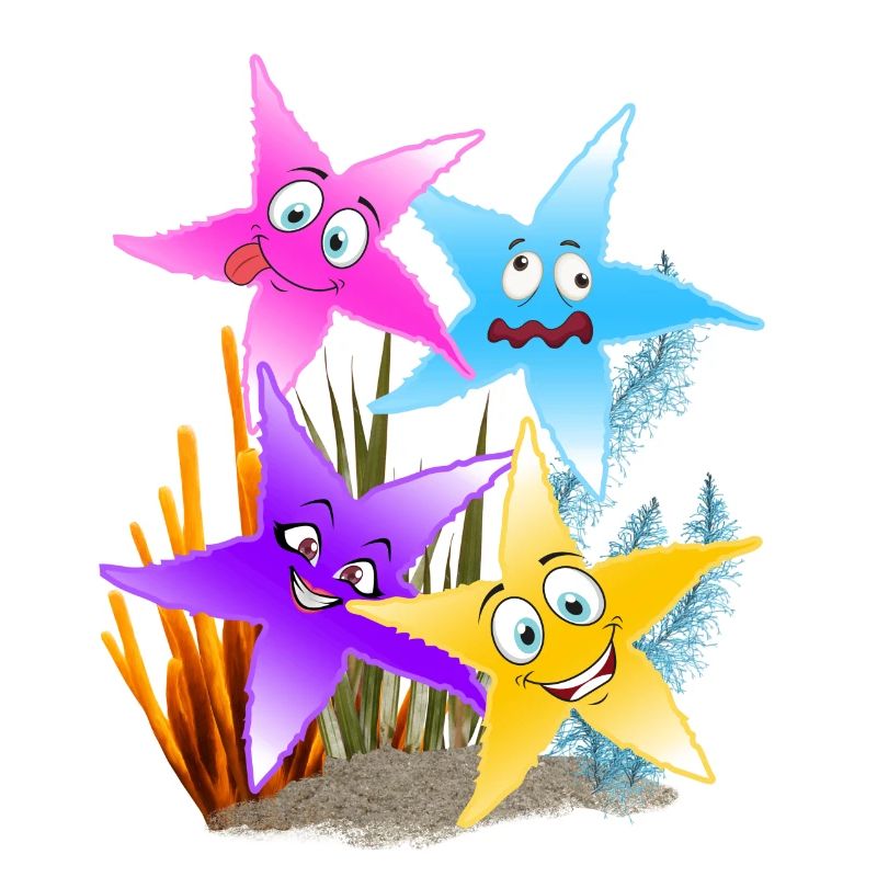 Buntes Seestern-Quartett Unterwasser