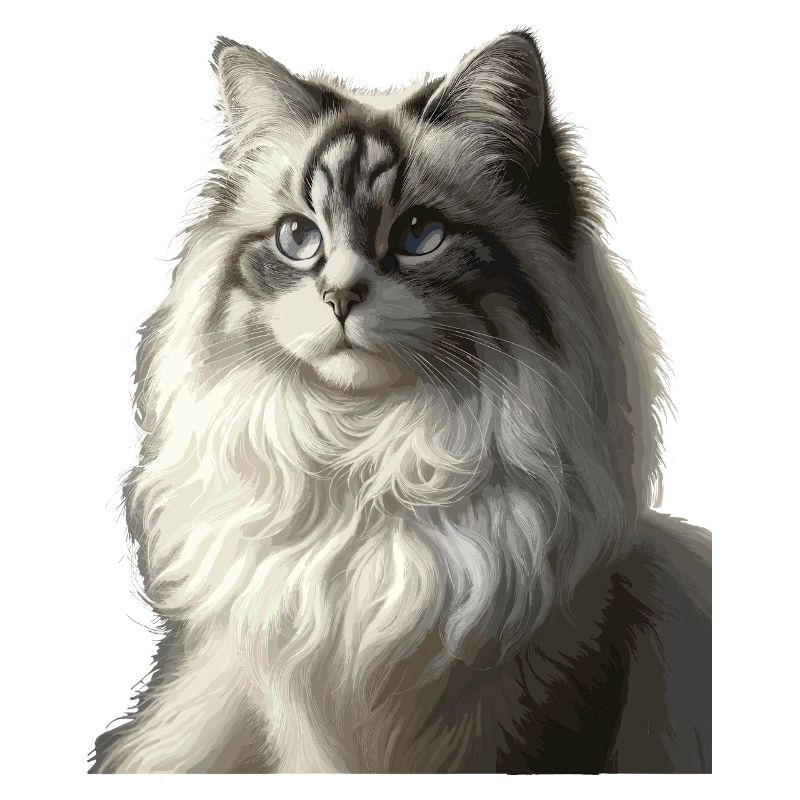 Fluffiges Katzengesicht Porträt