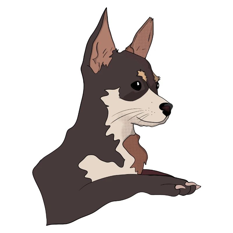 Entzückender Chihuahua