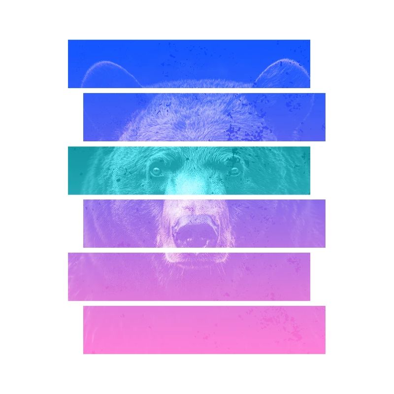 Bär