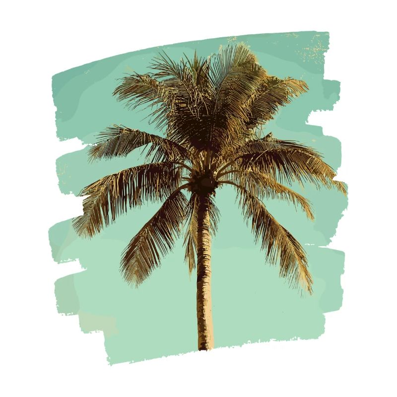 Palm tree
