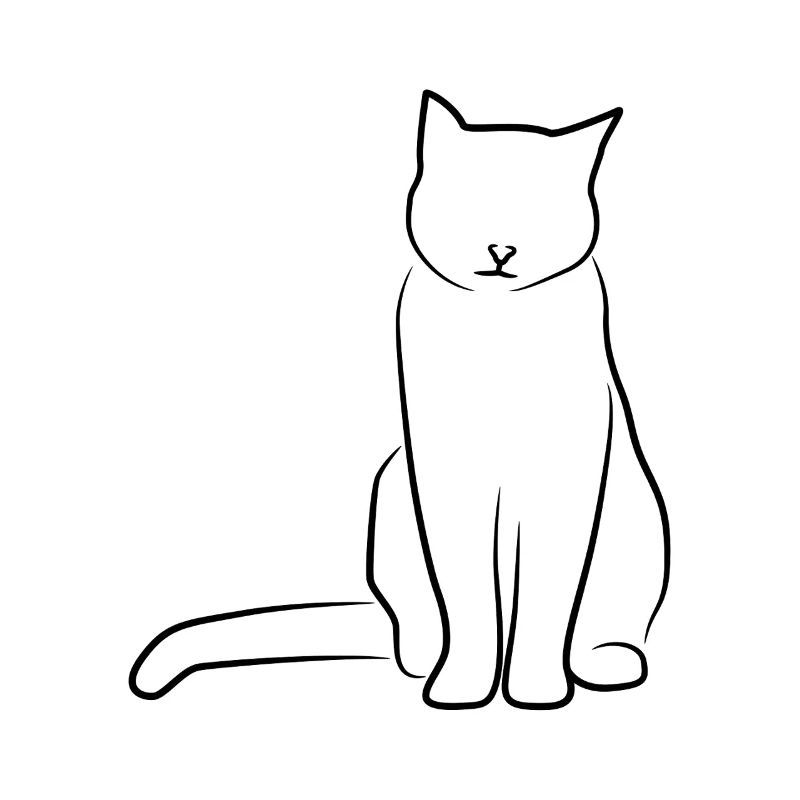Katze Zeichnung