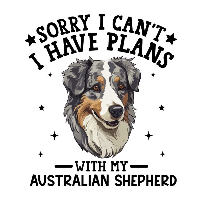Australischer Schäferhund, Abbildung