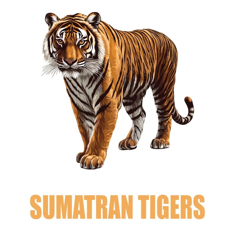 Sumatra-Tiger