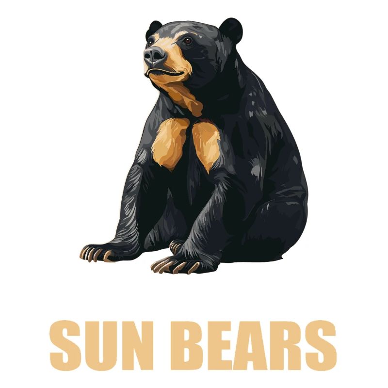 Sun Bear Malaienbär