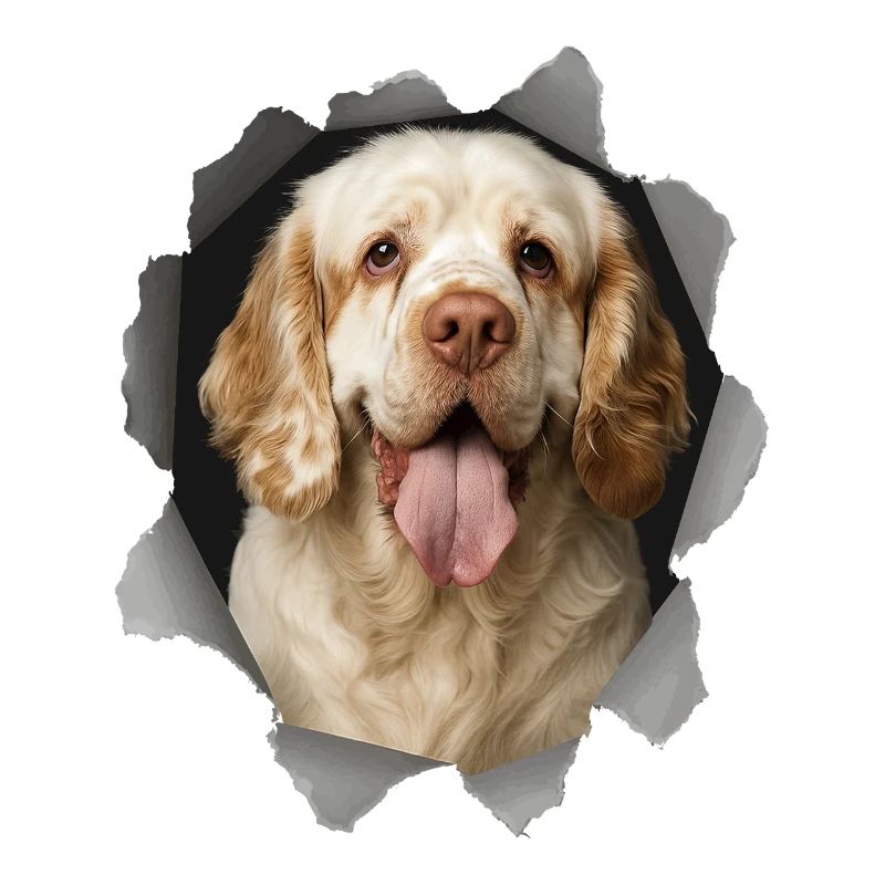 Clumber Spaniel