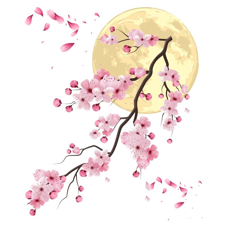 Vollmond mit Kirschblüte