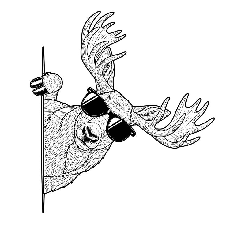 Moose mit Sonnenbrillen