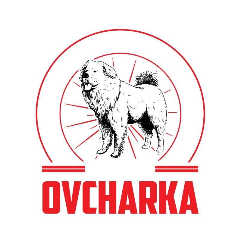Kaukasischer Owtscharka ist Alarm
