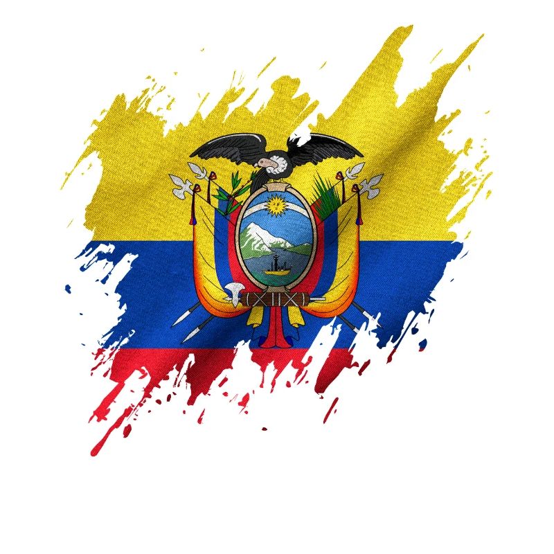 Flagge Ecuadors, Rissstil