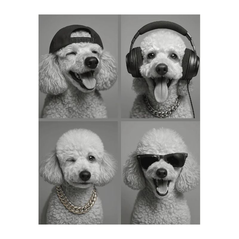 Poodle