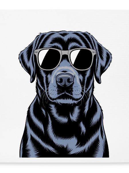 Schwarzer Labrador 