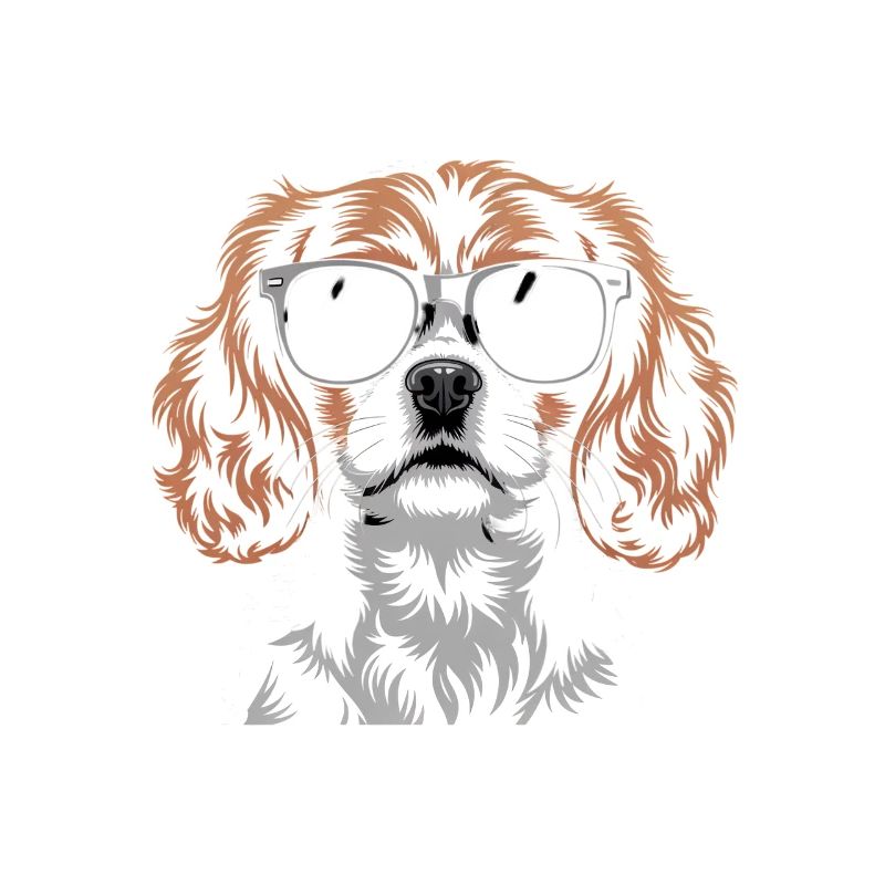 King Charles Spaniel