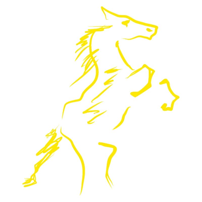 Pferd Reitsport Reiter
