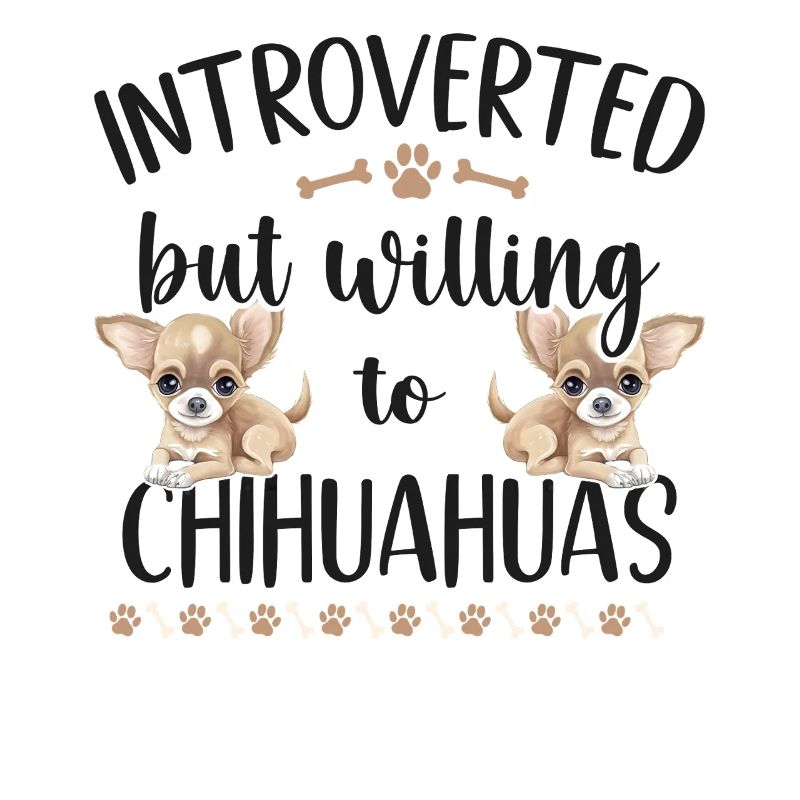 Chihuahua Chihuahueño Introverted