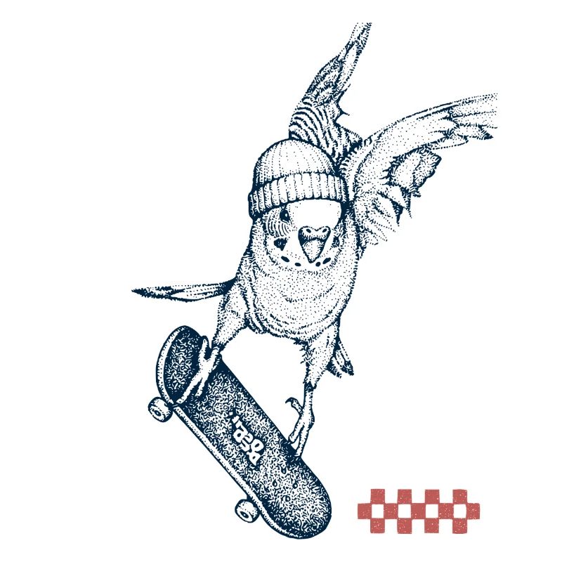 Skater Wellensittich