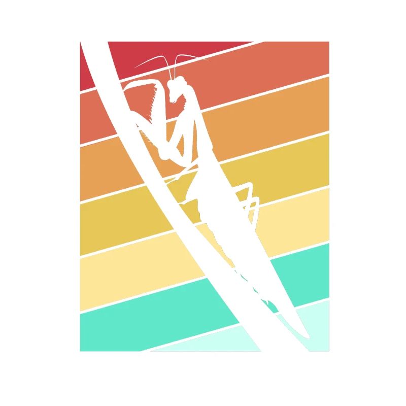 Mantis Gottesanbeter Gottesanbeterin