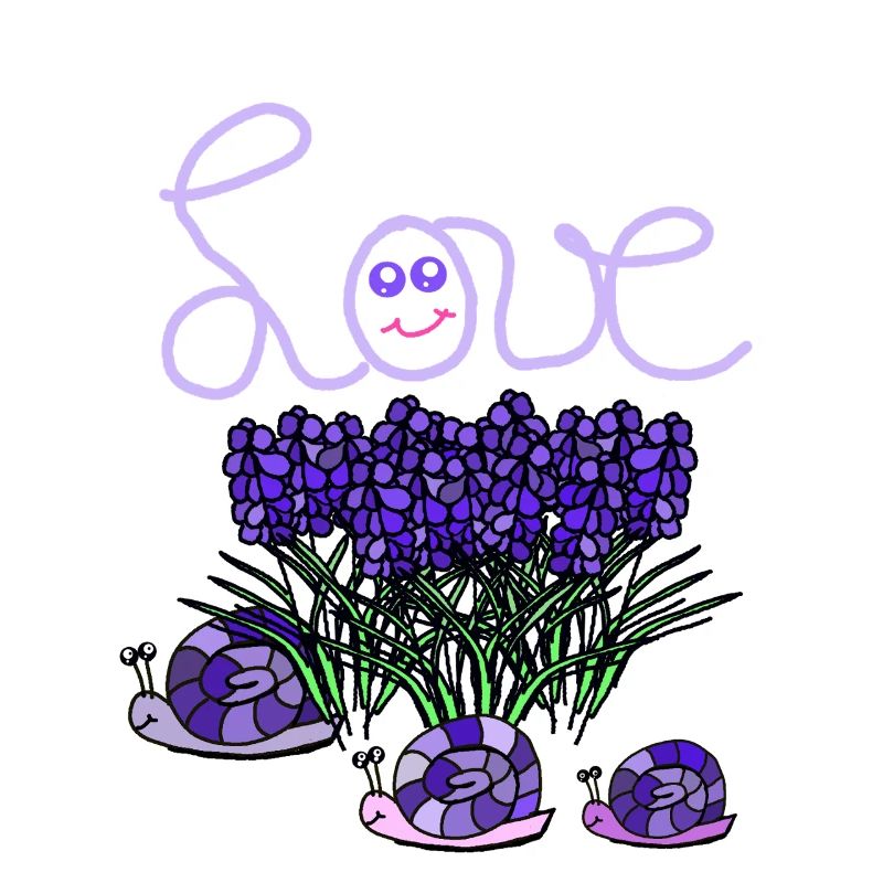  Lavendel  Schnecken Garten Hobbygärtner