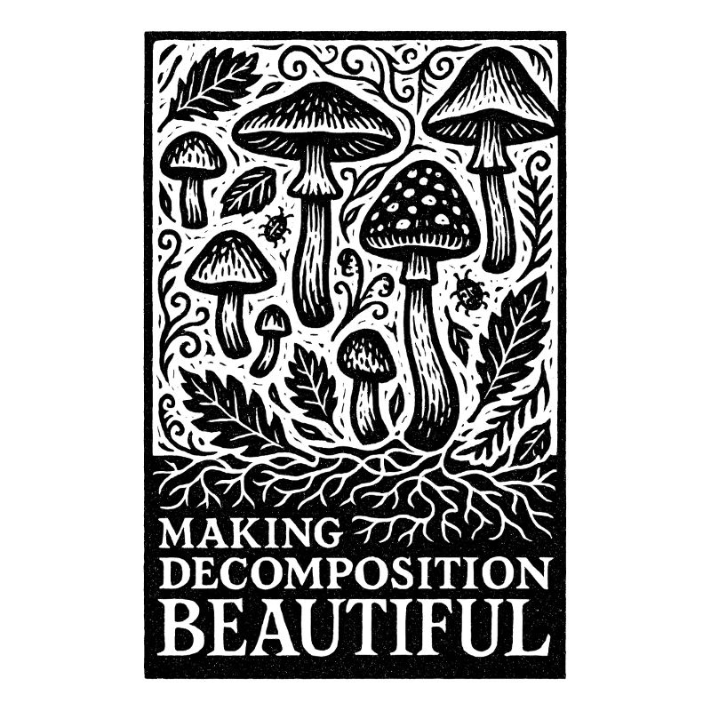 Schöner Zerfall | Pilze Dekomposition